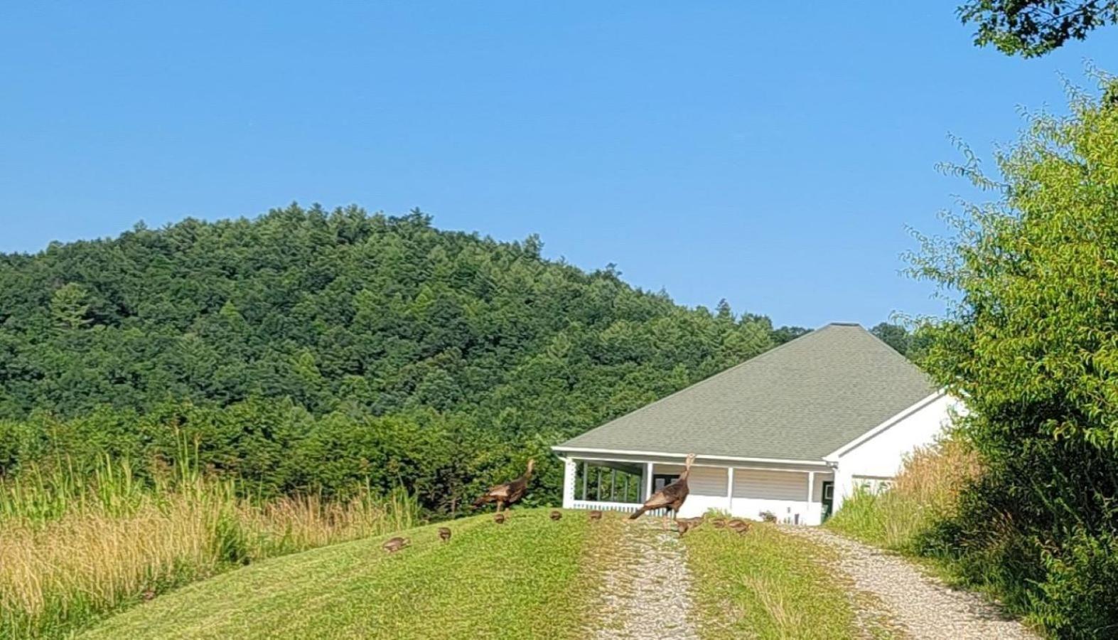 勒诺Mountain Retreat House To Relax And Enjoy别墅 外观 照片